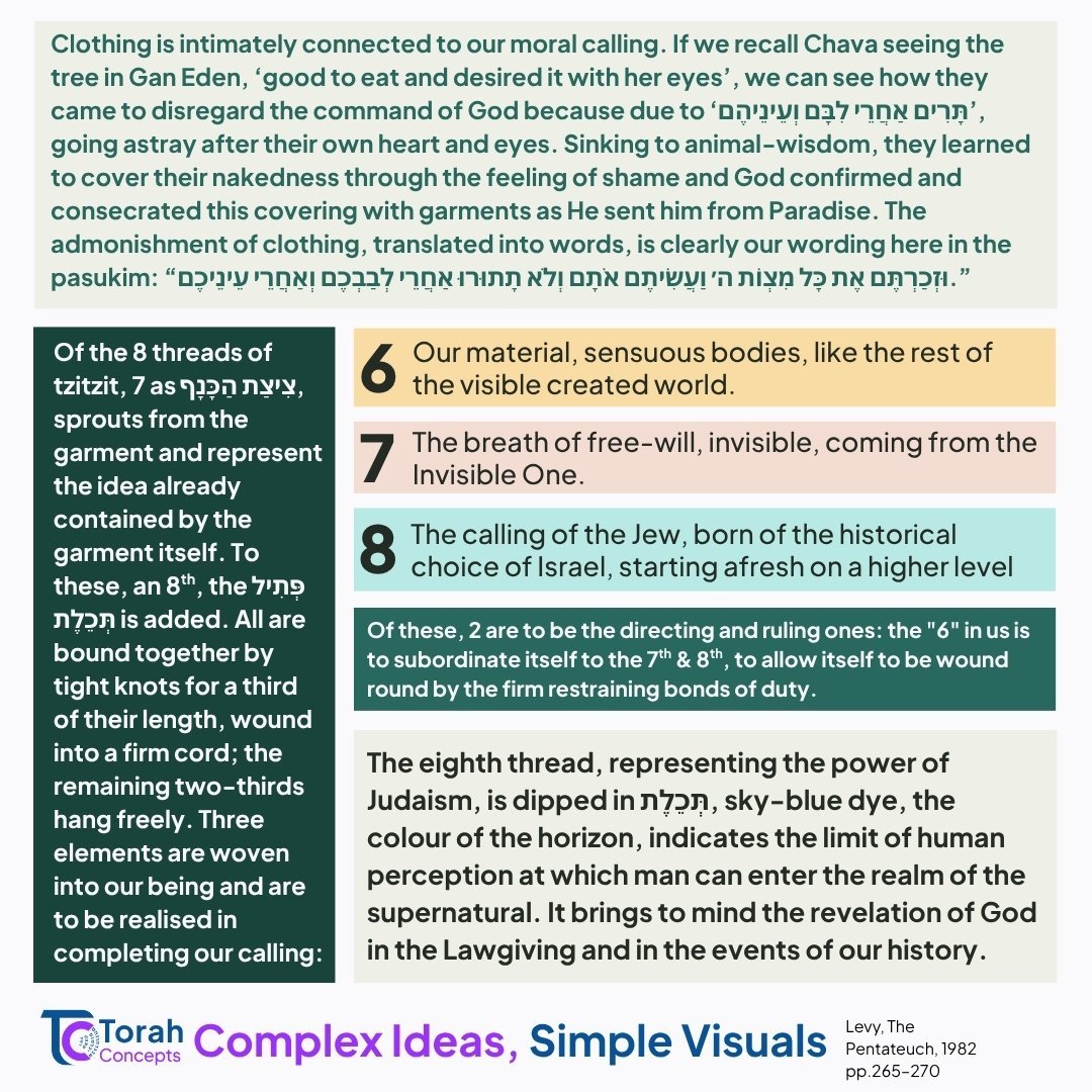 Shelach — page 2 of 4