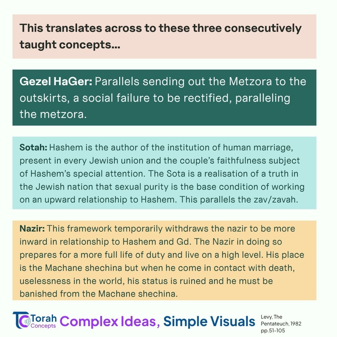 Nasso — page 4 of 5